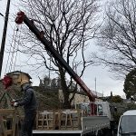 岡崎市ではなえみ墓園づくり