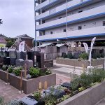暑い中、地味ににぎわっています