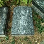 新年あけまして、おめでとうございます