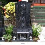 季節に一度の全員集合 季節に一度の全員集合
