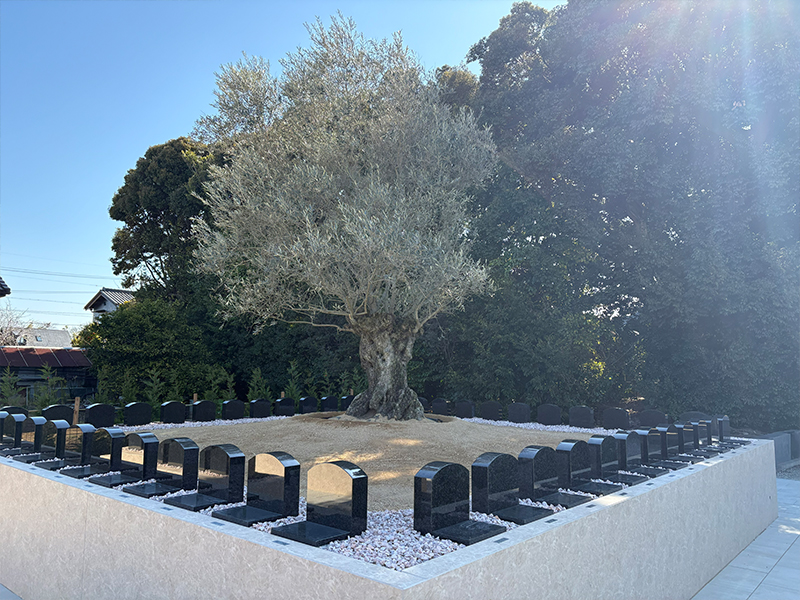 刈谷はなえみ樹木葬