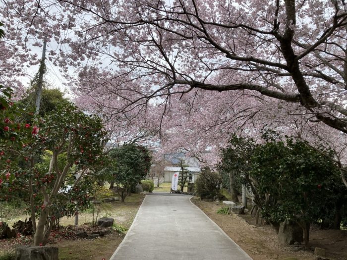 花岳寺参道、臨済宗寺院、西尾市吉良町、歴史ある建物、樹木葬提供寺院