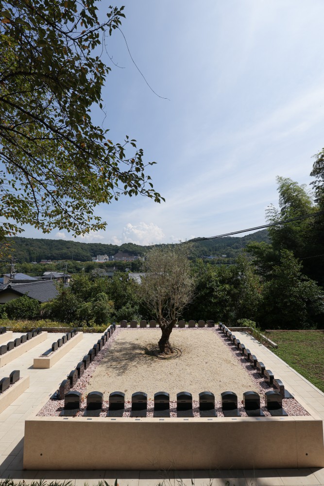 岡崎東はなえみ樹木葬のオリーブ古木と個別墓