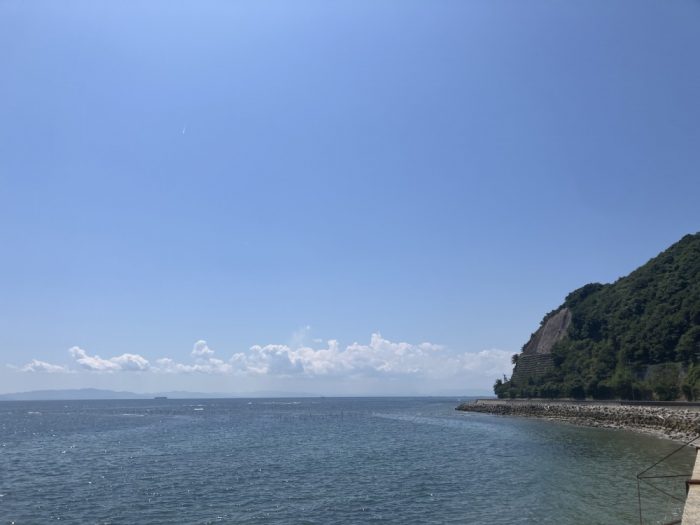 美浜町の美しい自然は樹木葬と相性が良い