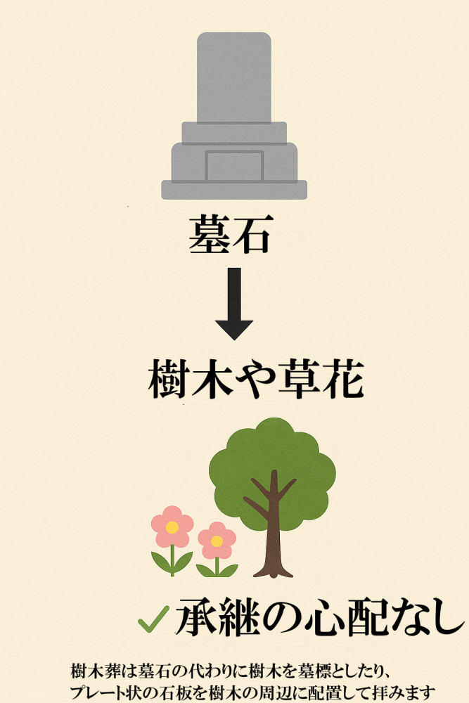 樹木葬の仕組みを説明する図解、従来墓と樹木葬の違い