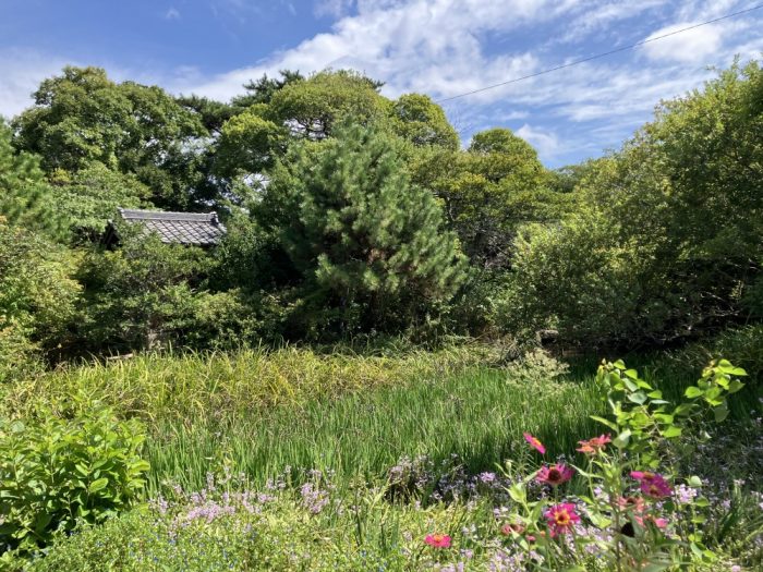 西尾市内の静かな朝の墓地風景_お墓じまいを考える