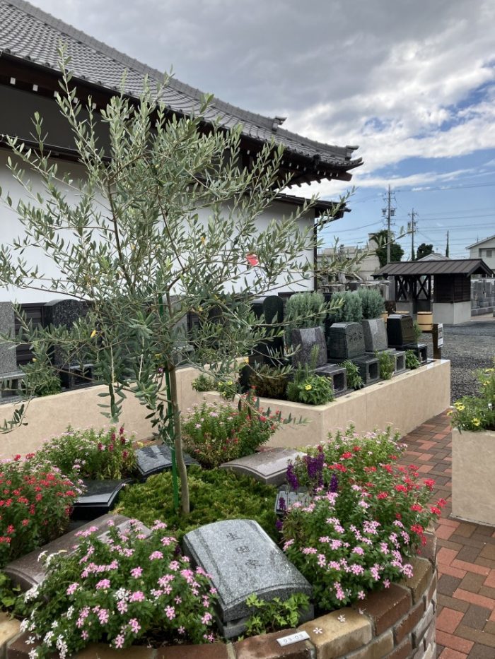 新城はなえみ墓園 全景 花 緑 明るい雰囲気