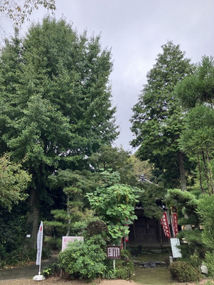 西尾市吉良町の花岳寺