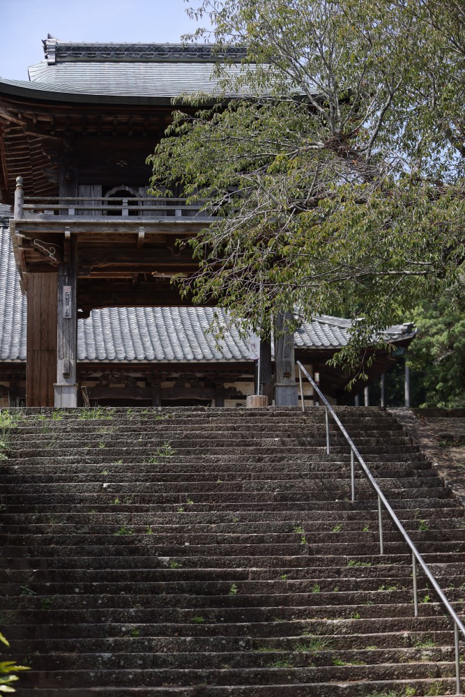 伝統が守る、現代的なご供養の答え
