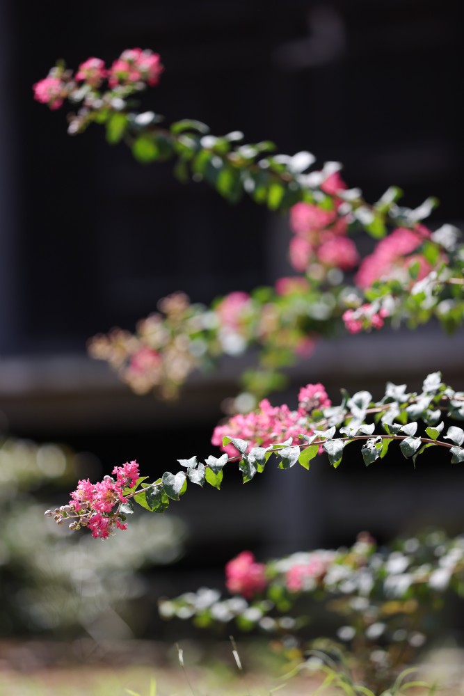 四季折々の自然がお出迎えします