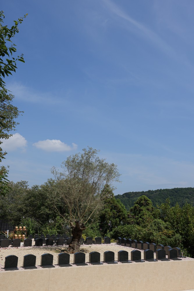 お参りしやすく、お骨もたくさん納められる特別な区画です