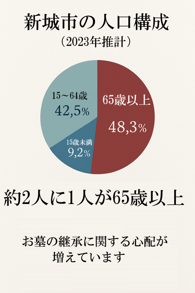 新城市人口構成グラフ 高齢化率48.3% 年齢別人口分布 