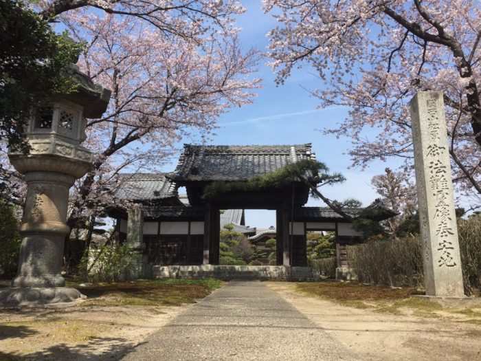 妙法寺の春の風景。境内には桜や花桃が咲き、美しい季節の移ろいを楽しめる