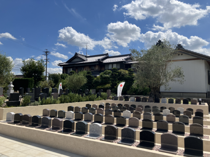 一宮丹陽はなえみ樹木葬。大きなオリーブの木を中心に、美しく整備された墓地と寺院の風景