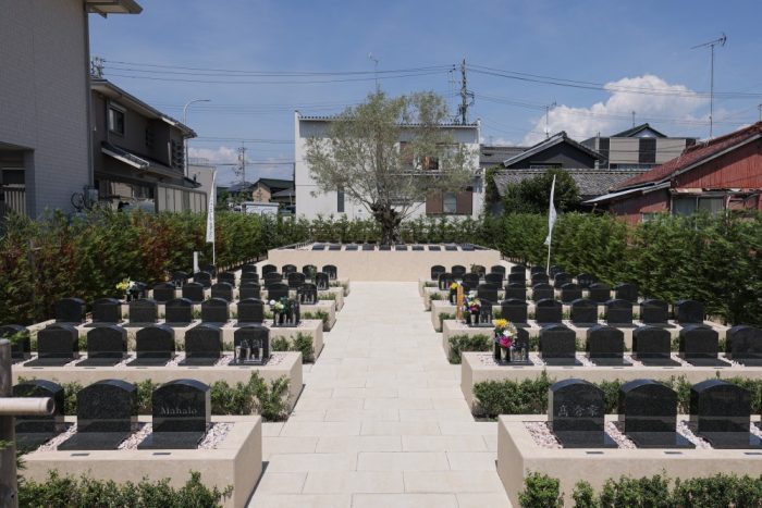 蒲郡市 覚性院の蒲郡はなえみ樹木葬。樹齢300年のオリーブの古木がシンボルツリーとして建つ明るい庭園墓地。